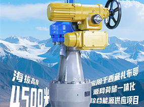 4500米！良固閥門集團服務(wù)全球海拔最高的光熱電站